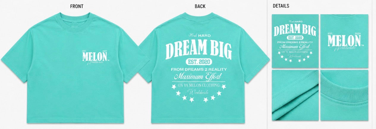 Dream Big T (Minty Melon)